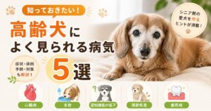 高齢犬によく見られる病気5選