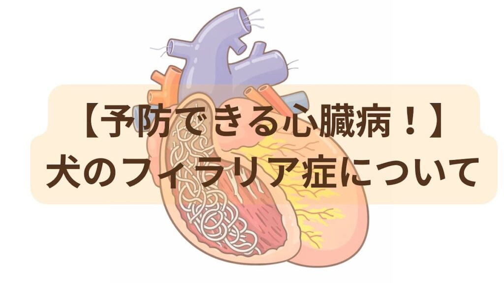 犬のフィラリア症についてのトップ画像