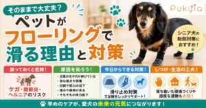 ペットがフローリングで滑る理由トップ画像