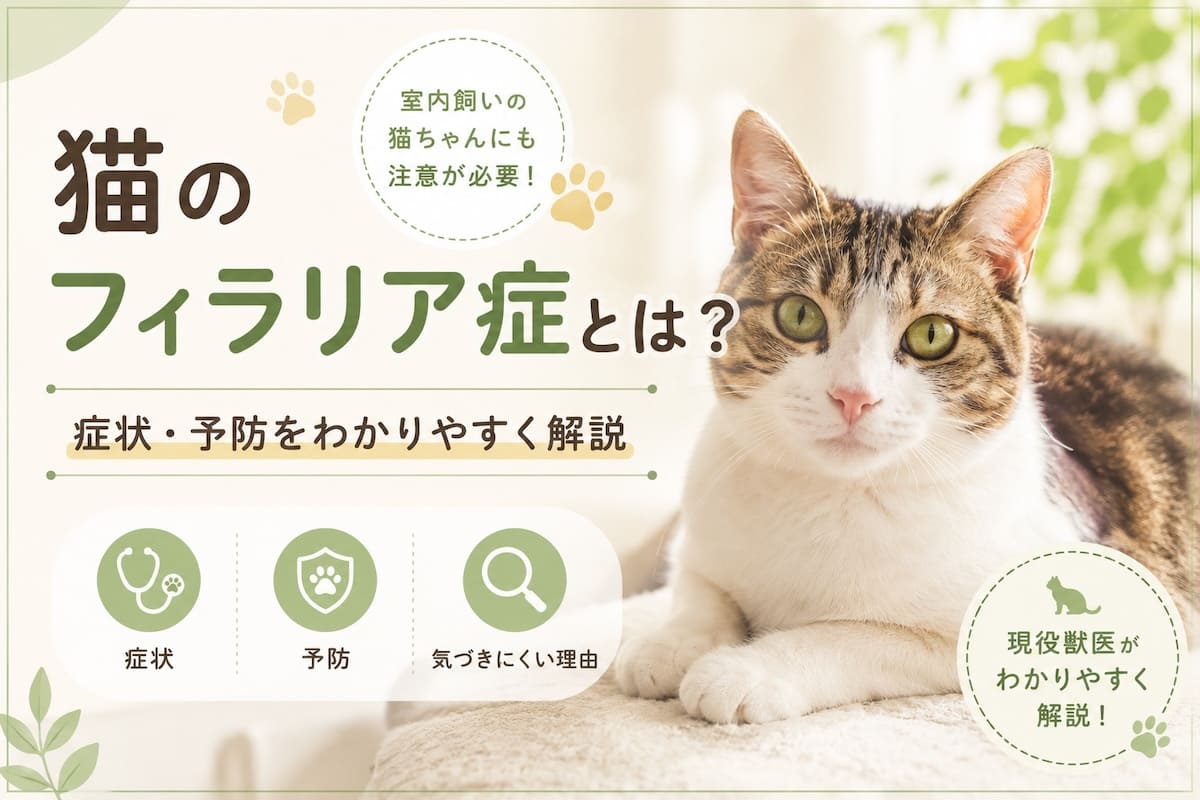 猫のフィラリア症についての紹介画像