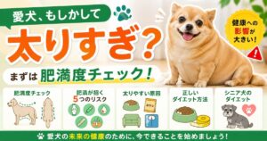 愛犬のダイエットについての記事のサムネ