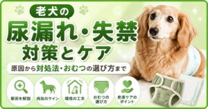 高齢犬の尿もれ、尿失禁のケアについてのサムネイル